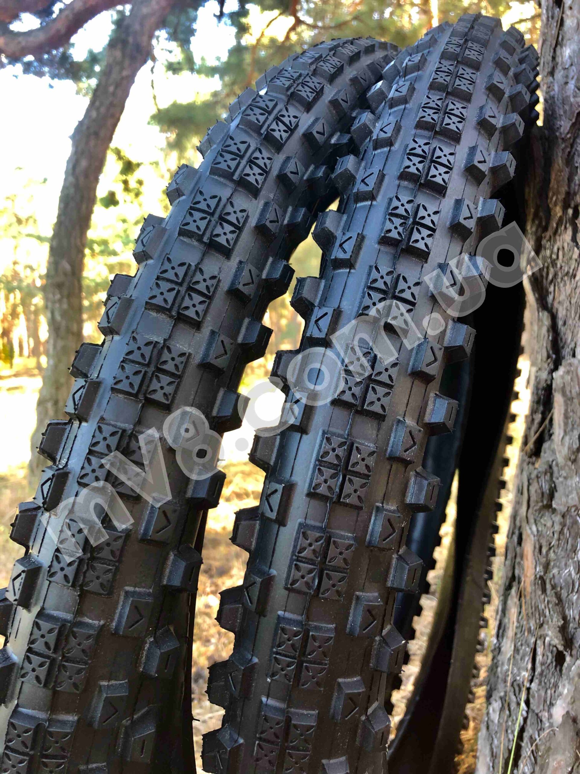 Покришка посилена Chao Yang 26х3.0 (76-559) DH E-bike - Зображення 3
